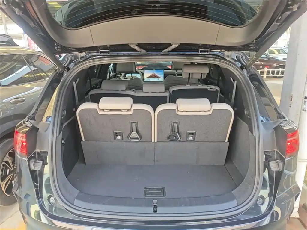 BYD Tang New Energy 2025 Smart Driving Edition DM-i 115KM Flagship фото 19