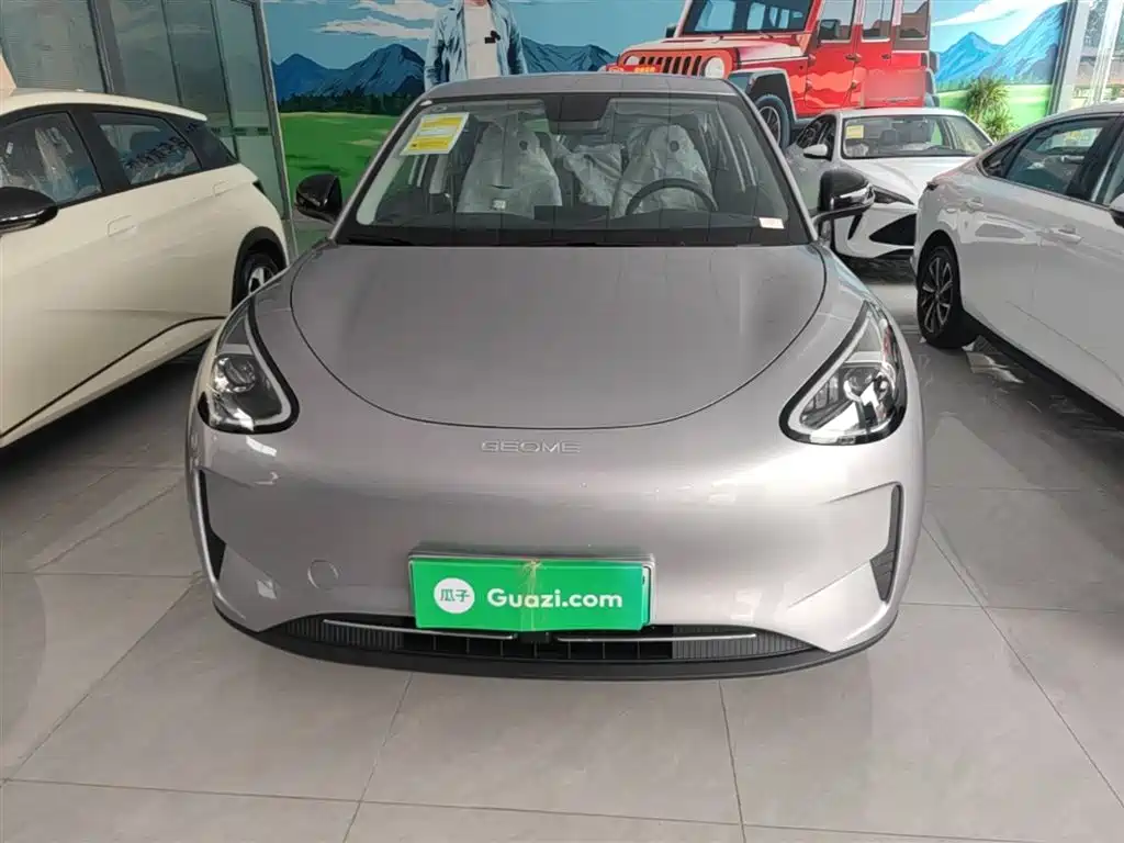 Geely Galaxy Starry Wish 2026 Edition 310km Youth Version фото 3