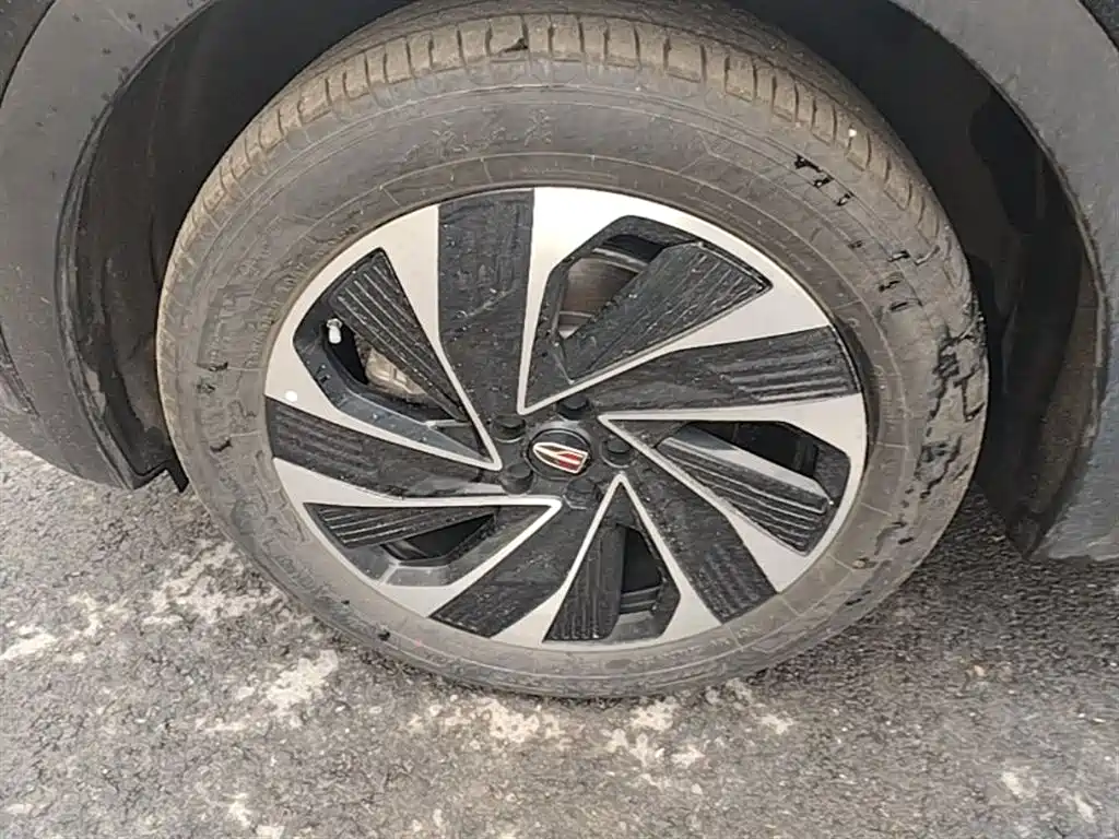 Hongqi HS7 PHEV 2024 2.0T PHEV AWD Qichang Edition 7-seater фото 23