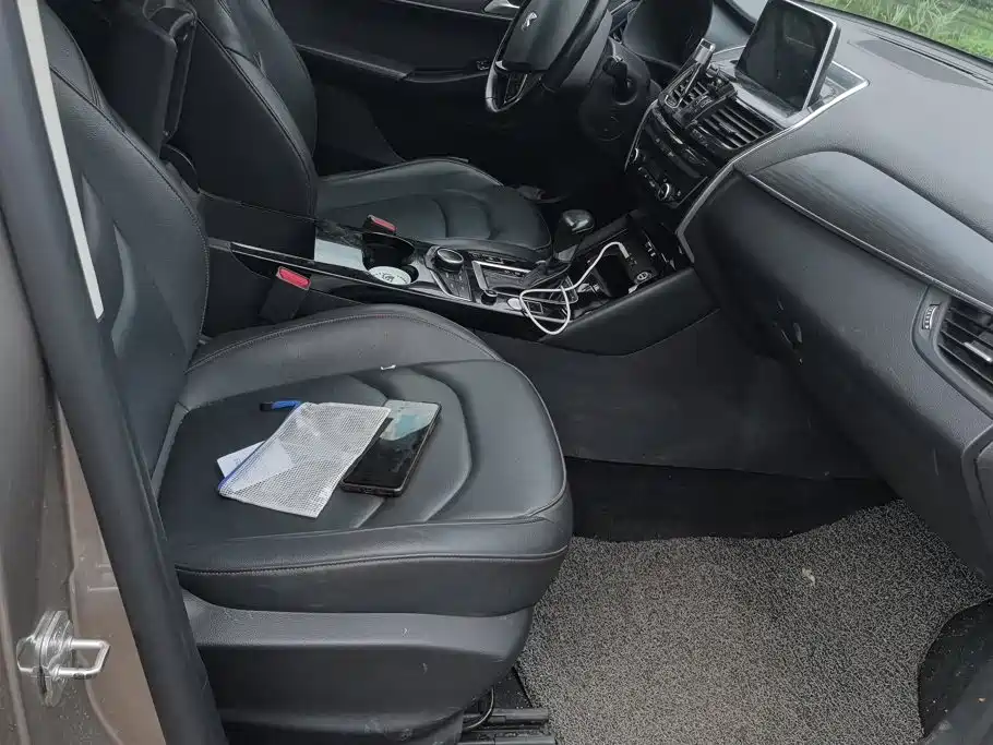 Borgward BX5 2019 2017 Model 20TGDI Automatic 2WD Vanguard Type