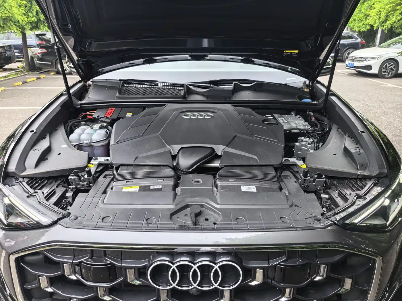 Audi Q8 2024 55 TFSI Luxury Sport фото 18