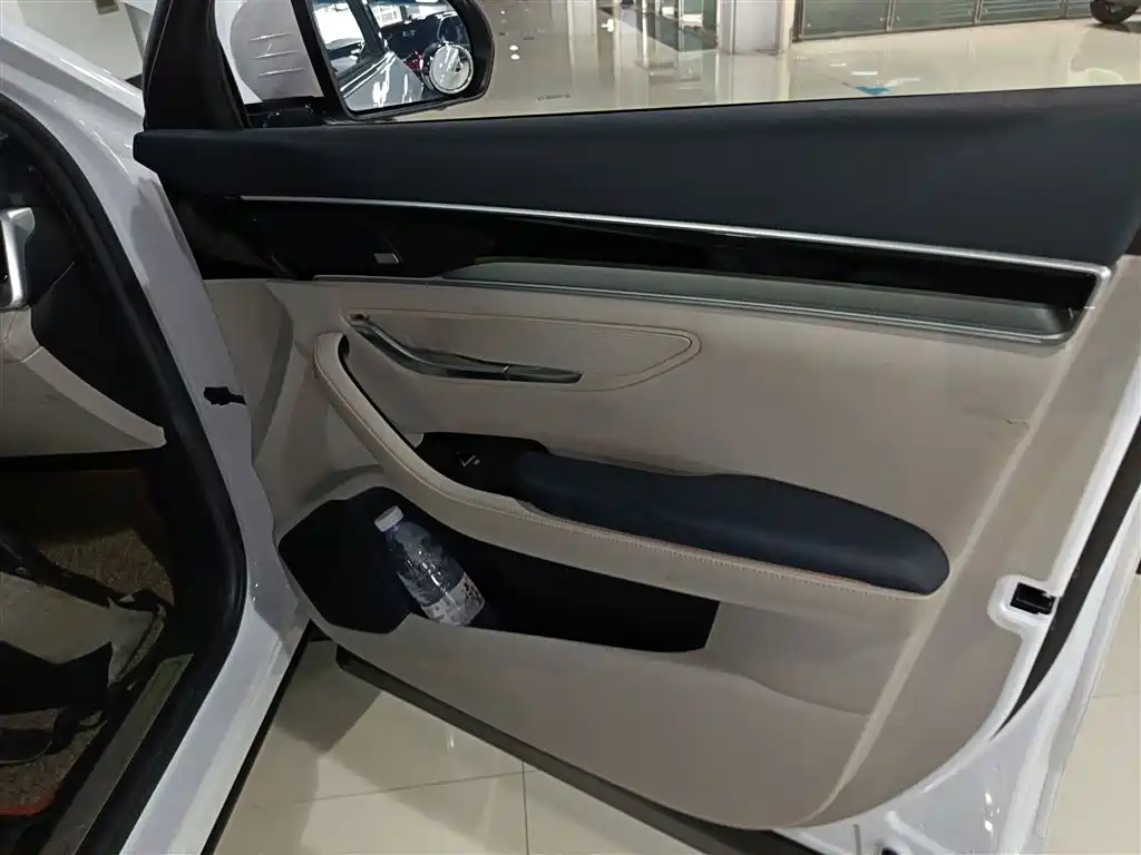BYD Song PLUS PHEV 2021 DM-i 110KM Flagship PLUS фото 19