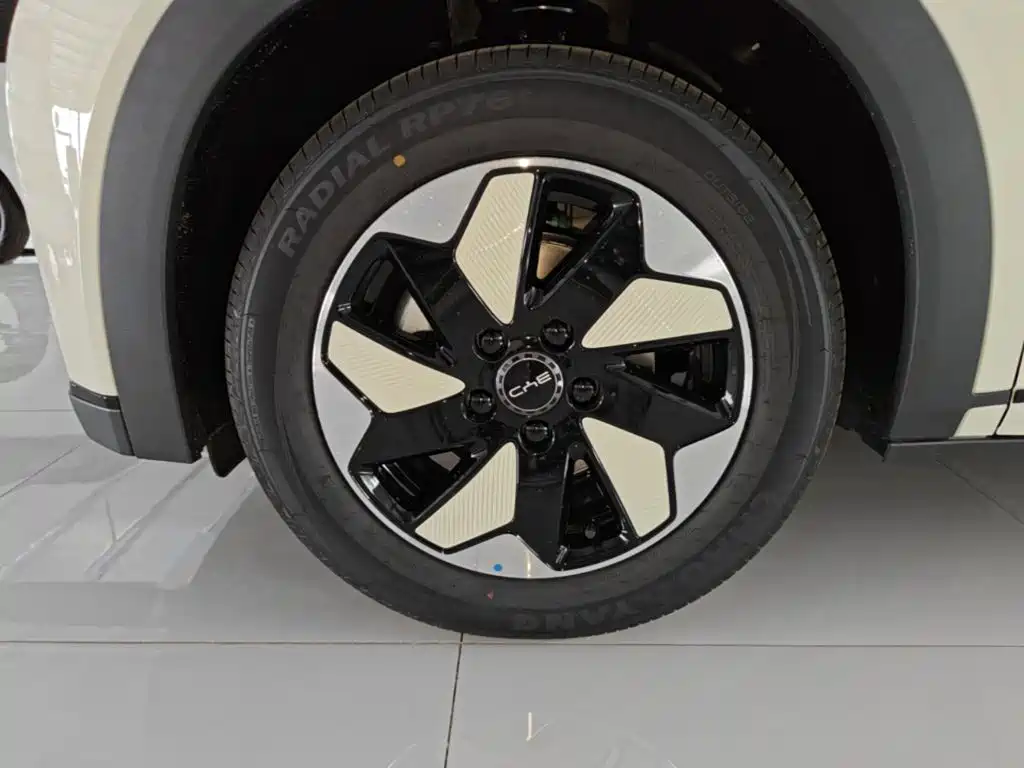 BYD Dolphin 2026 2025 420km Freedom Edition