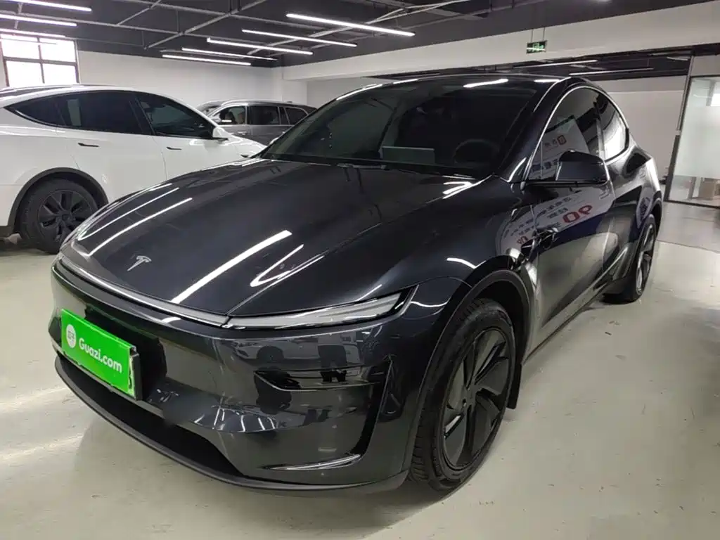 Tesla Model Y 2025 Model Long Range All-Wheel Drive Launch Edition