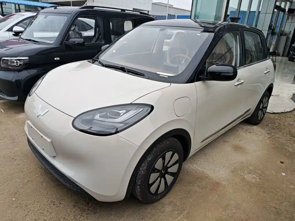 Wuling Motors Wuling Bingo 2026 2025 Model 333km Joy Edition