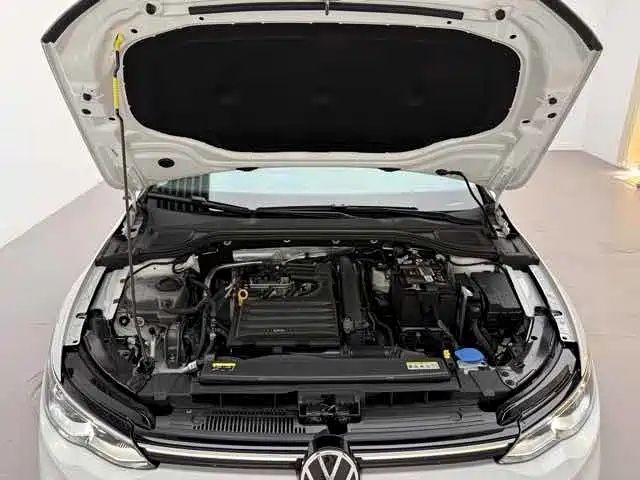 Volkswagen Golf 2021 200TSI DSG Pro фото 8