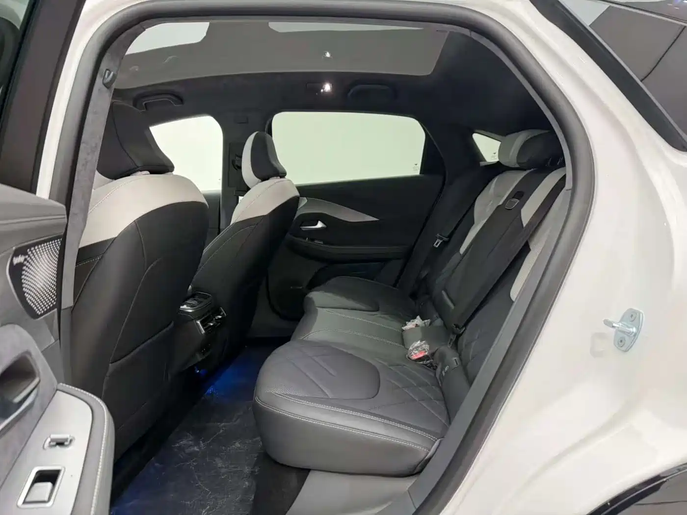 ARCFOX EXTREME FOX POLAR FOX ALPHA S6