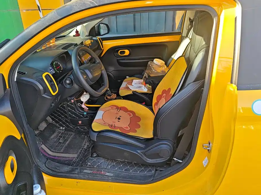 Roewe Clever 2023 2022 311km Vitality Bobo Edition