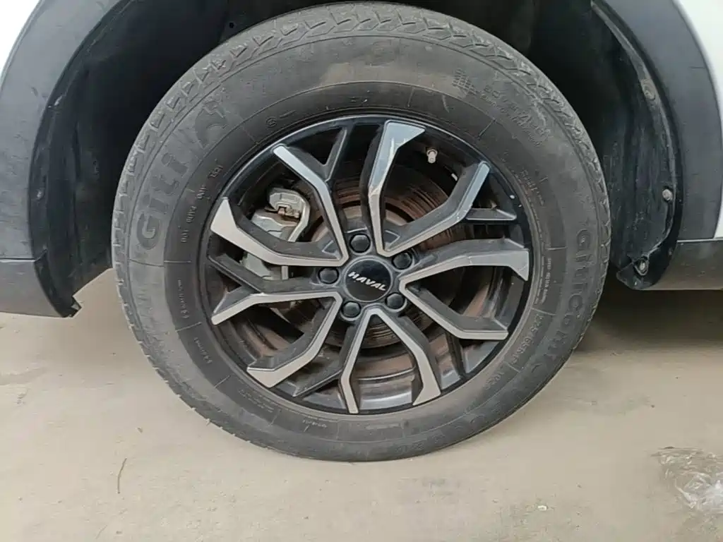 Фото 23 - Haval H6