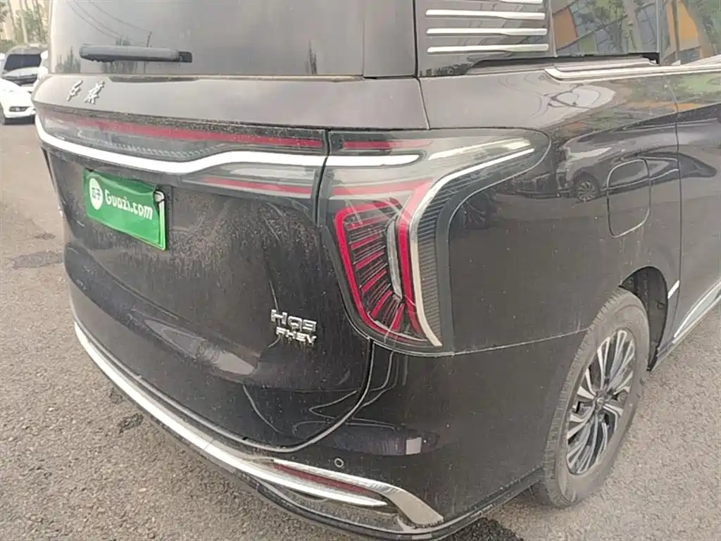 Hongqi HQ9 PHEV 2024 Model 2.0T AWD Business Edition фото 8