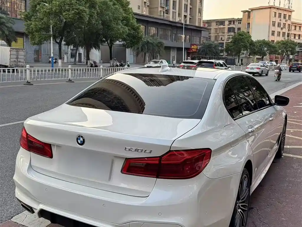 BMW 5 Series 2018 530Li Premium M Sport Package фото 10
