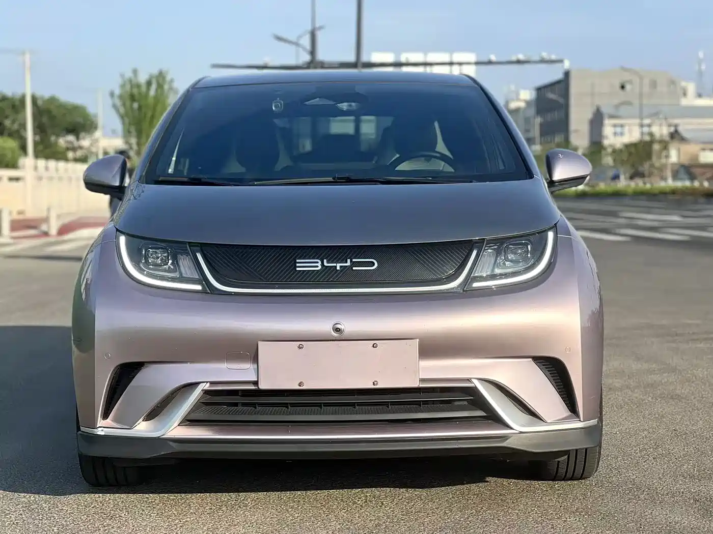 BYD Dolphin 2023 401km Knight Edition фото 2