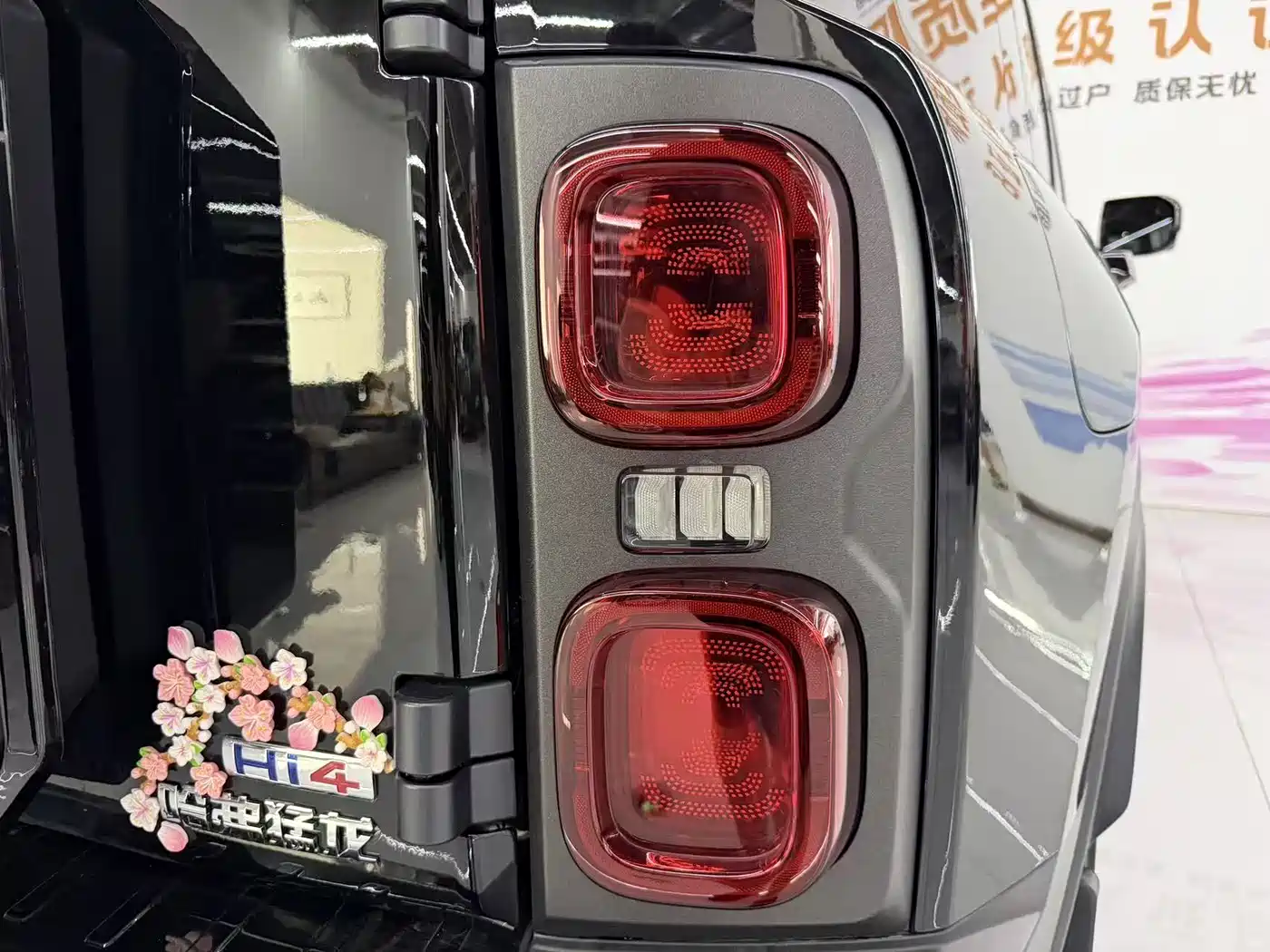 Haval Meng Long NEV 2024 Hi4 145 Cross-country Edition фото 17