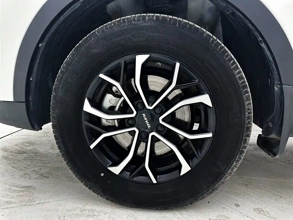 Haval H6 2023 National Trend Edition 1.5T Automatic Urban фото 22