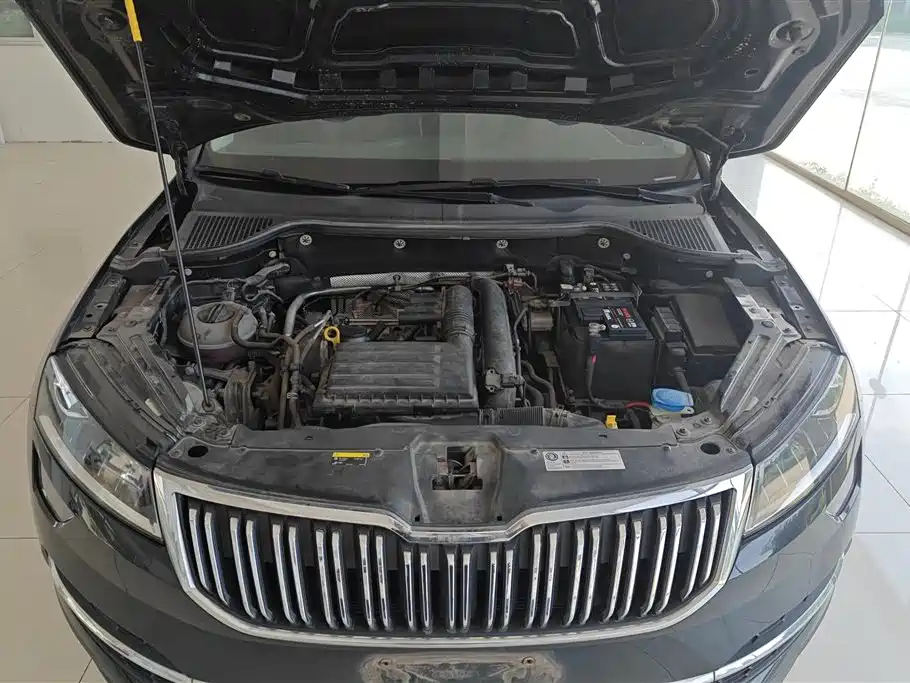 Škoda Karoq 2018 TSI280 Luxury Edition China V фото 10