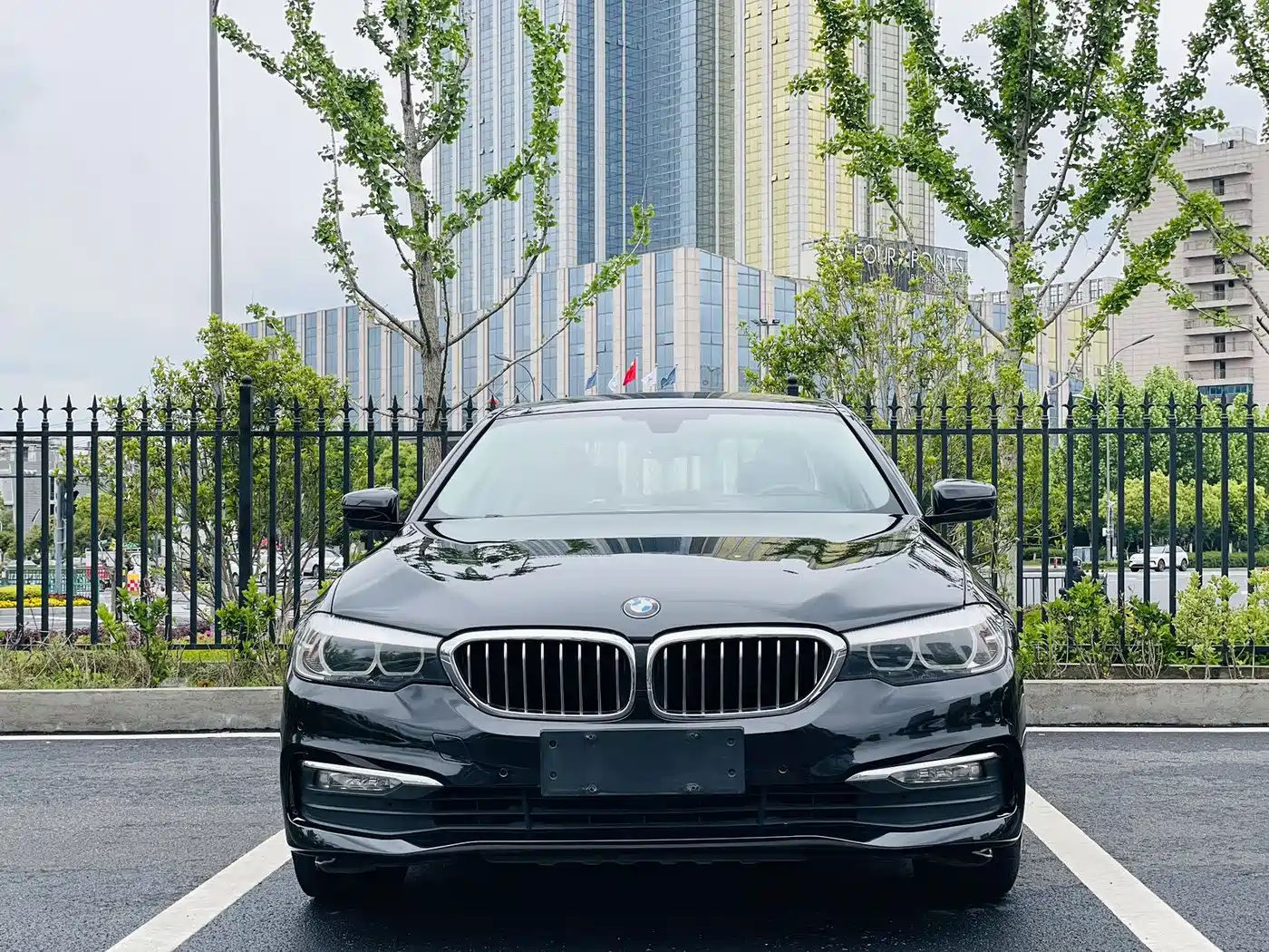 BMW 5 Series 2018 528Li Launch Special Edition фото 2