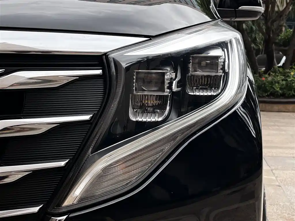 GAC Trumpchi Trumpchi M8 2018 320T Premium Edition фото 23