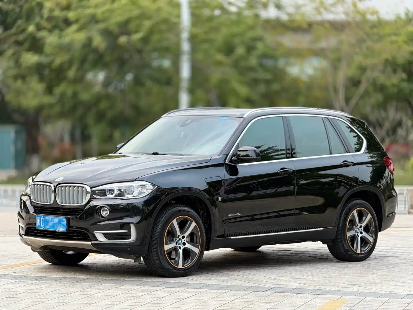 BMW X5 NEW ENERGY