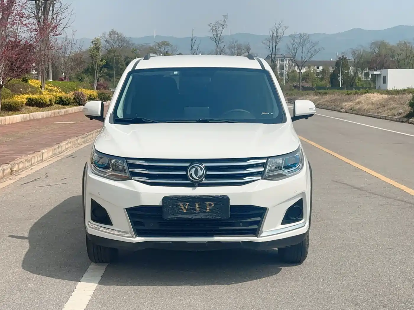 DONGFENG POPULAR SX6