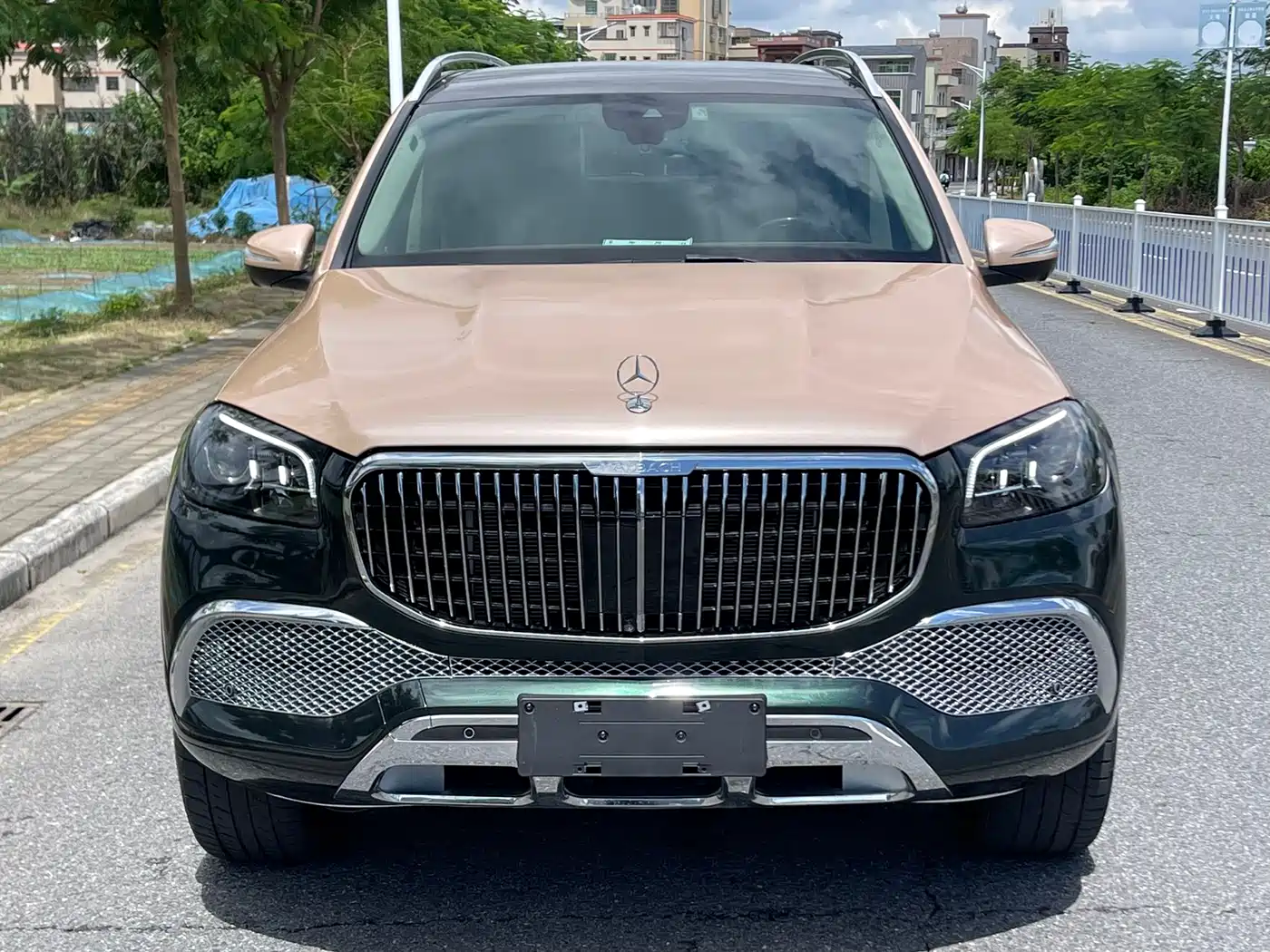 Mercedes-Benz Maybach GLS 2022 GLS 480 4MATIC фото 2