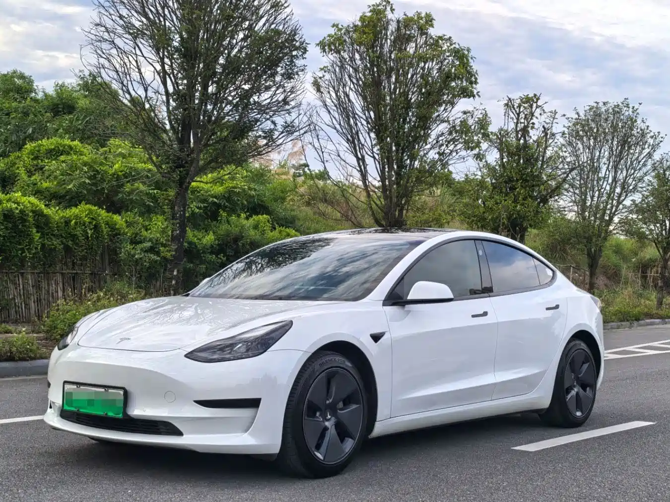 Tesla Model 3 2021 Standard Range Rear-Wheel Drive Upgrade 3D6