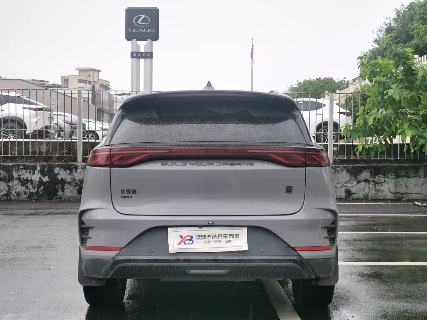 2025 BYD Tang New Energy