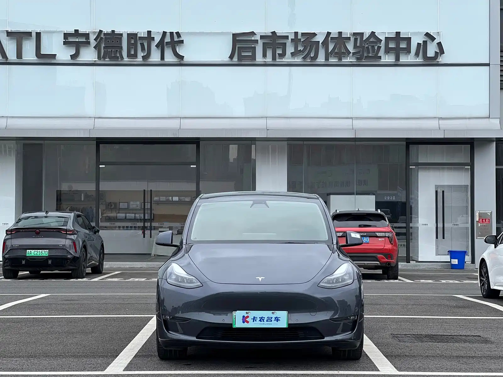 Фото 1 - Tesla Model Y