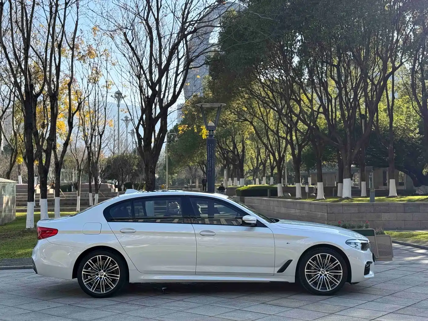 BMW 5 Series 2019 530Li Leading M Sport Package фото 12