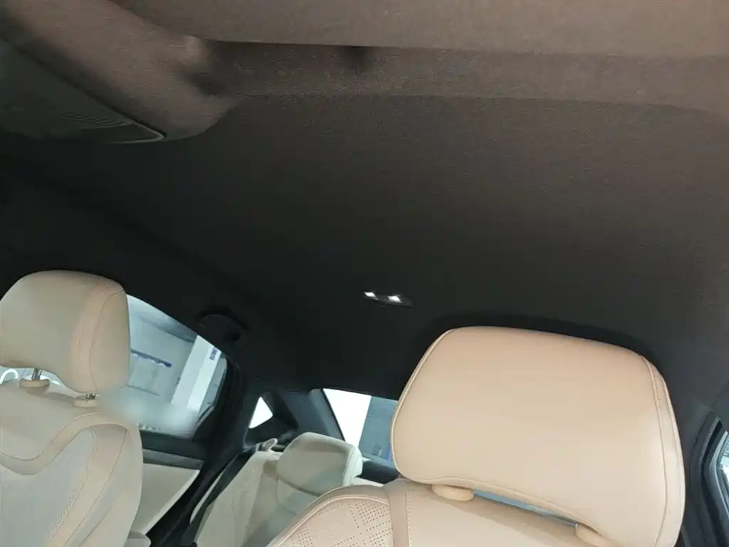 BYD Qin PLUS 2025 EV Smart Drive Edition 510KM Leading Type фото 18