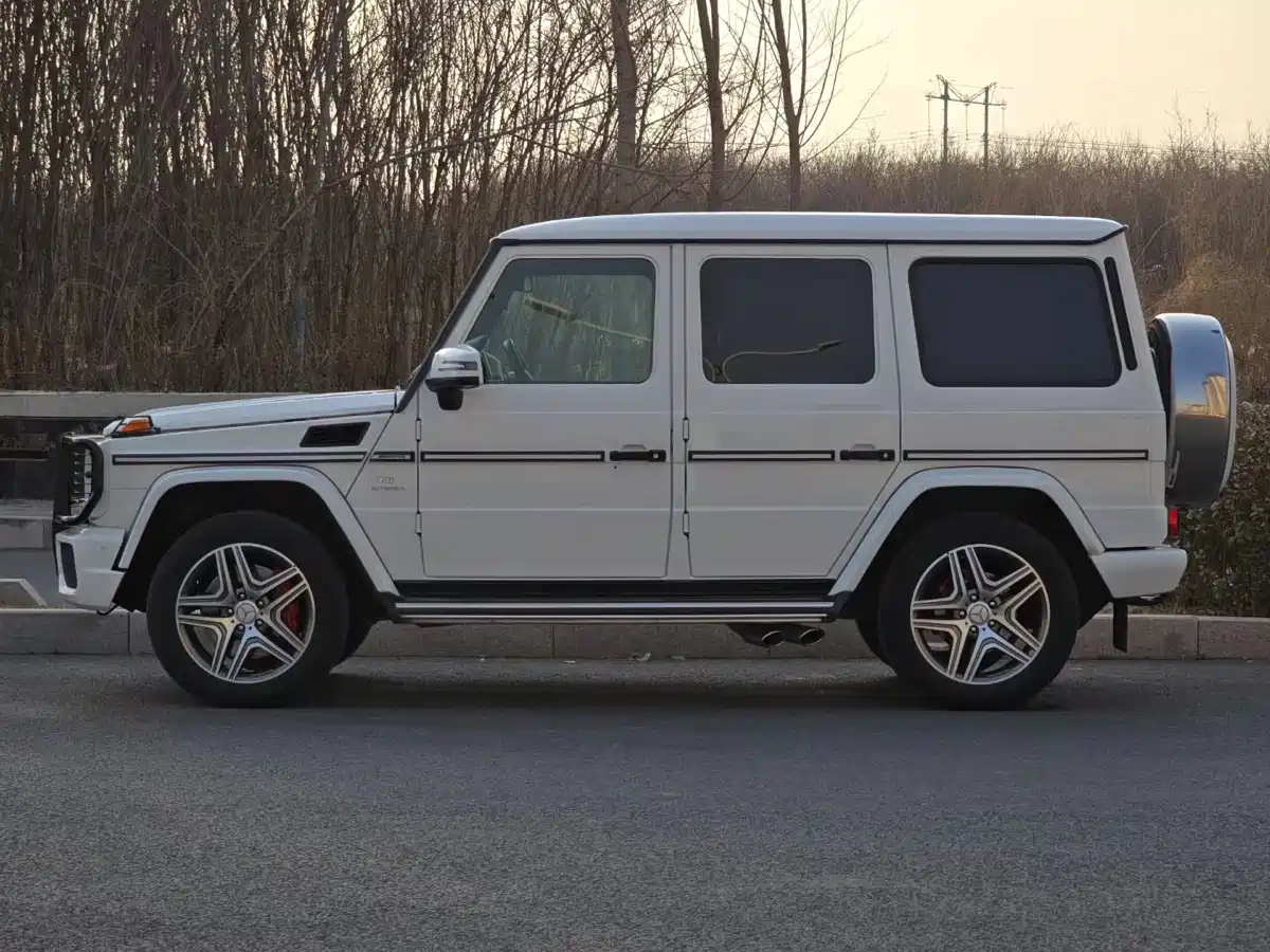 Mercedes-Benz G-Class AMG 2013 AMG G 63 фото 9