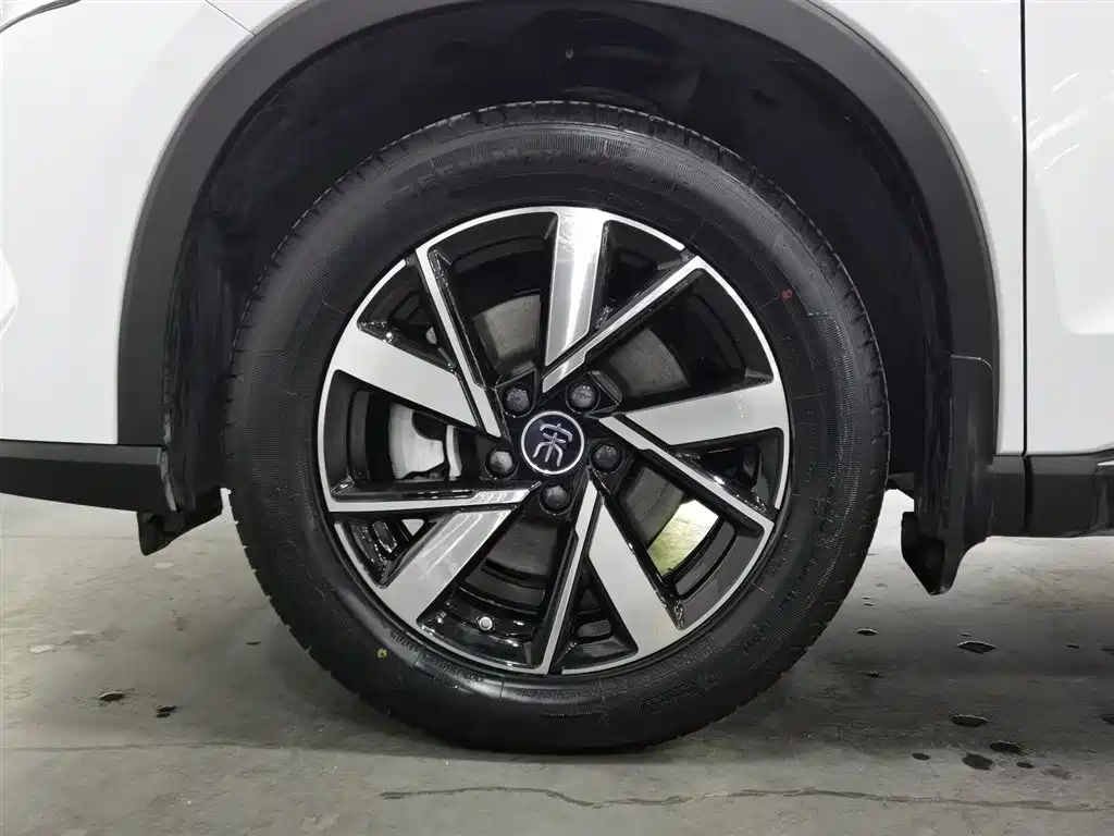 BYD SONGJIANG NEW ENERGY