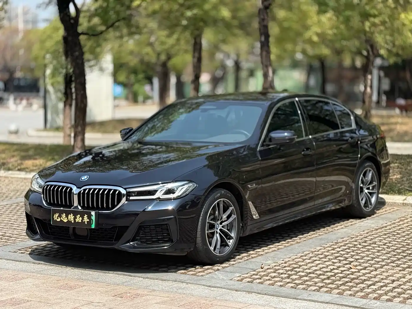 BMW 5 Series New Energy 2022 Facelift 535Le Pioneer M Sport Package