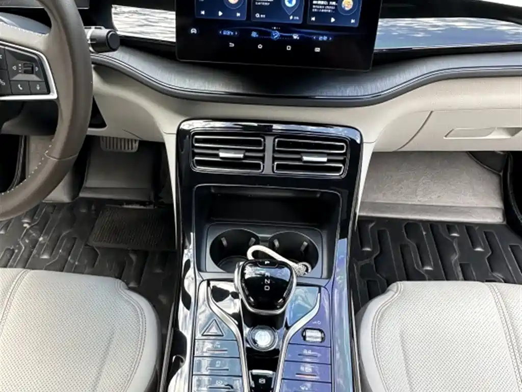 BYD Qin PLUS 2024 Glory Edition DM-i 55KM Leading фото 13