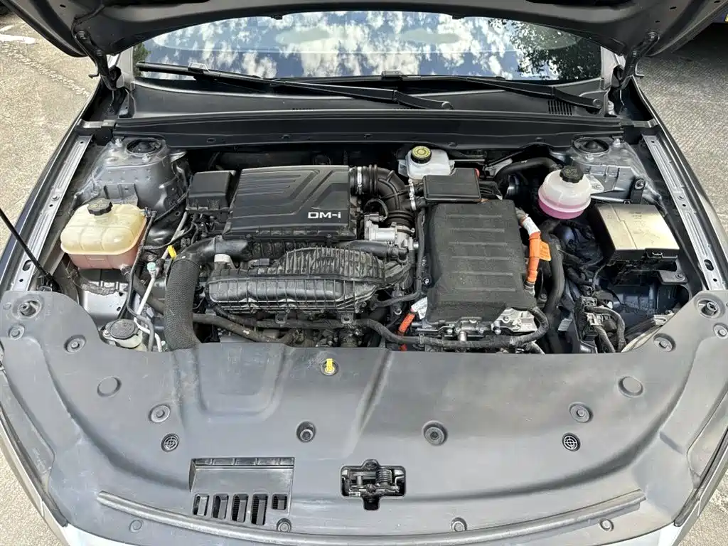BYD Qin PLUS 2024 Glory Edition DM-i 55KM Leading фото 17