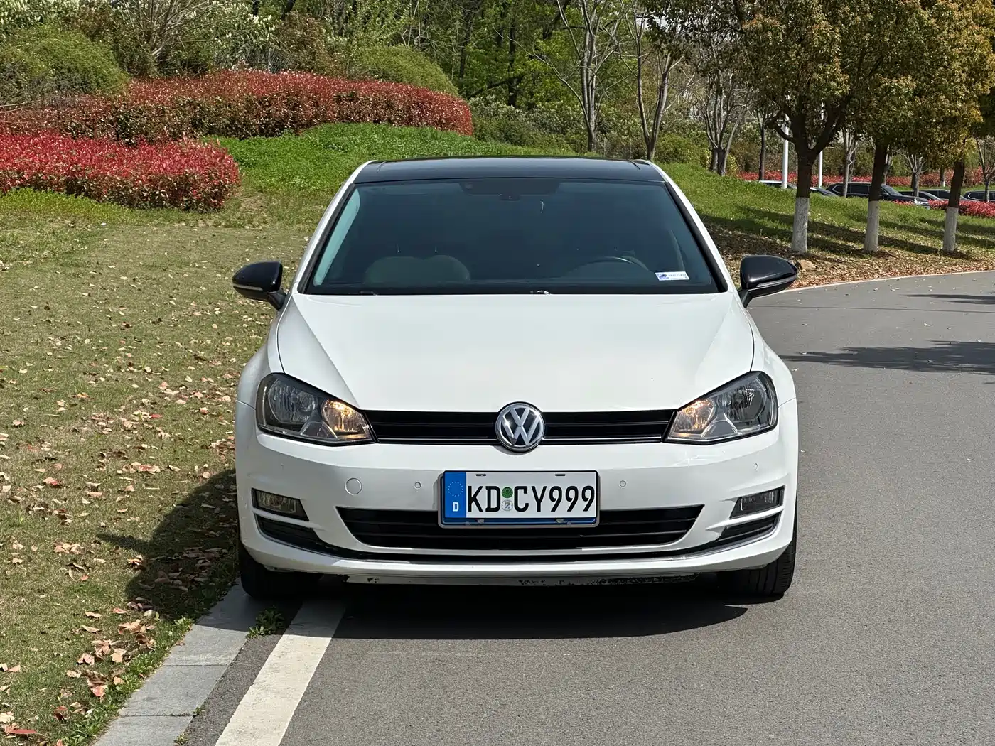 Volkswagen Golf 2017 230TSI Auto Luxury Millionth Anniversary Edition фото 2