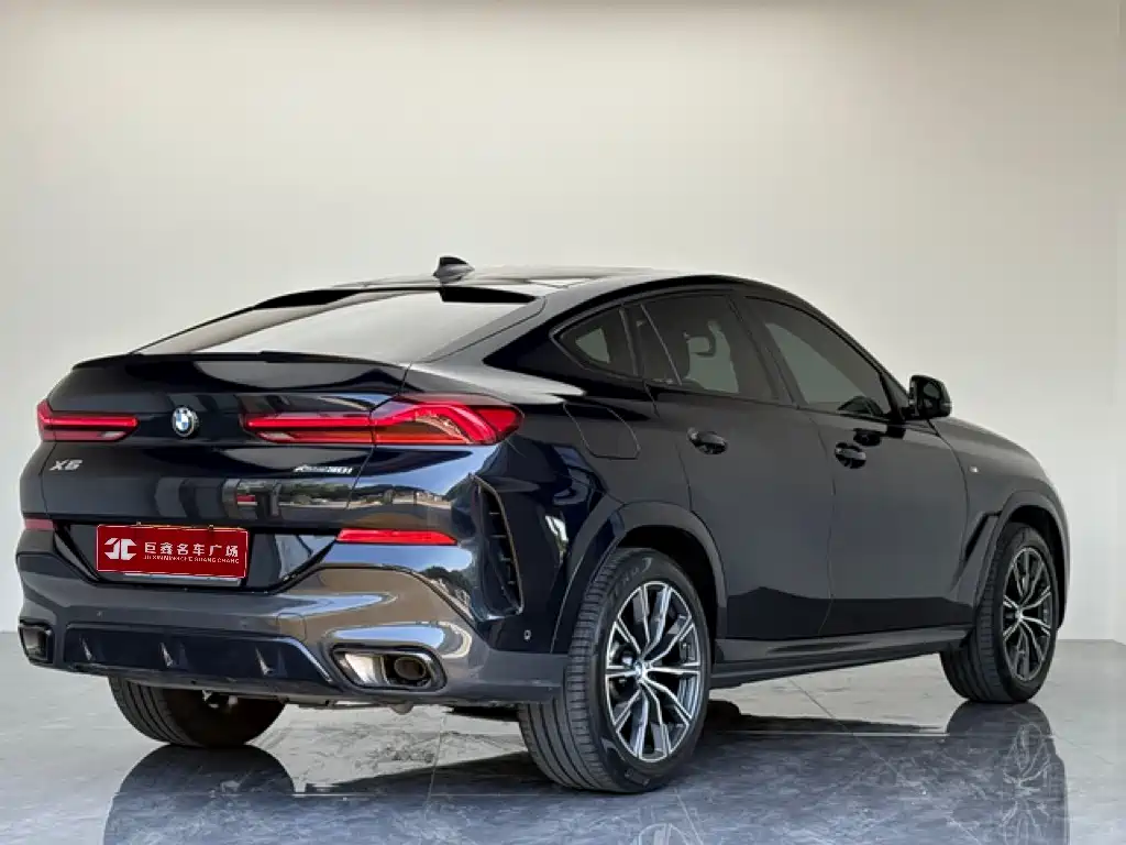 BMW X6 2023 2023 xDrive30i M Sport Package