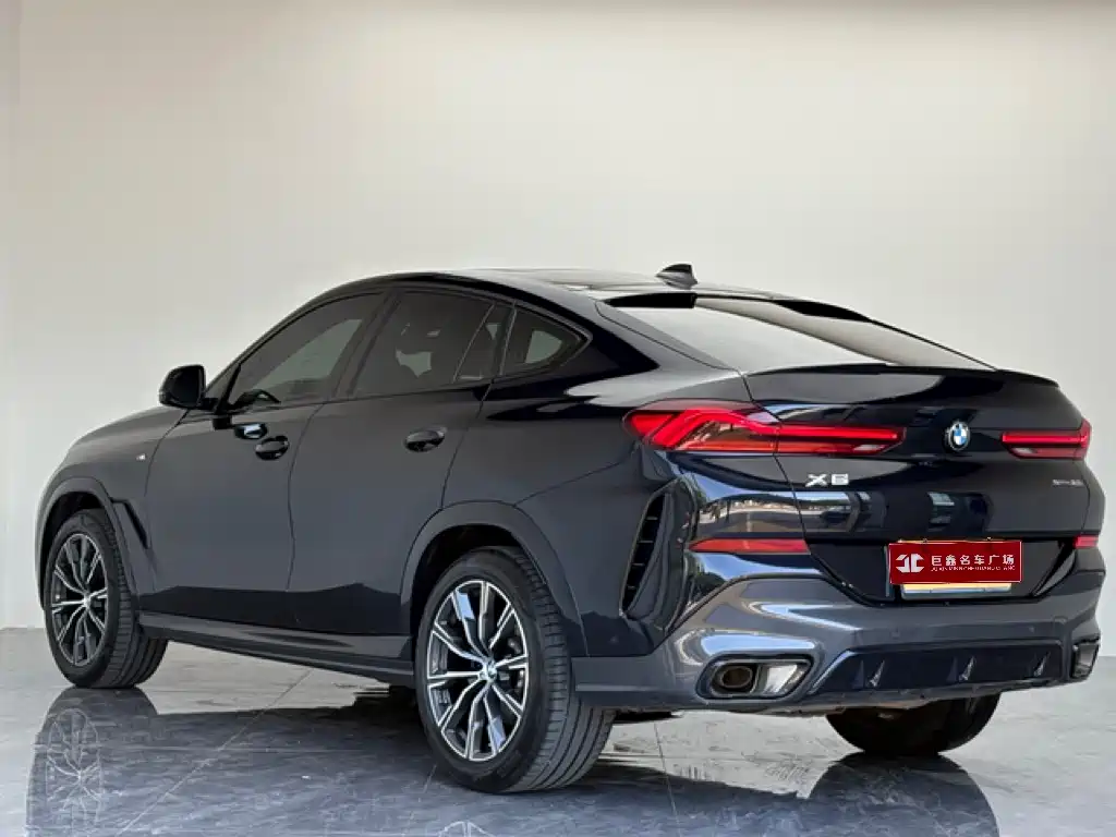 BMW X6 2023 2023 xDrive30i M Sport Package