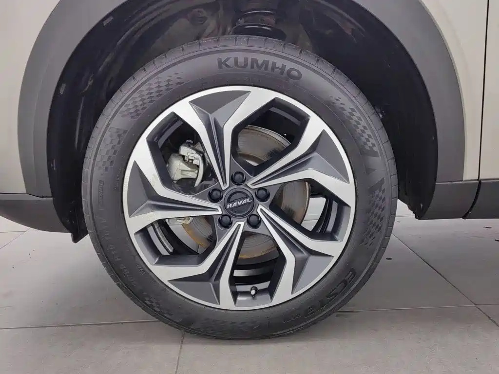 Haval Shenshou 2024 2023 1.5T Smart Enjoy Edition