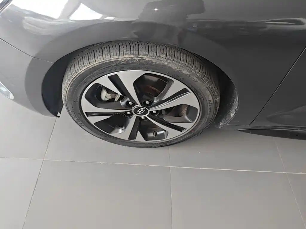 Photo 23 - Hyundai Lafesta