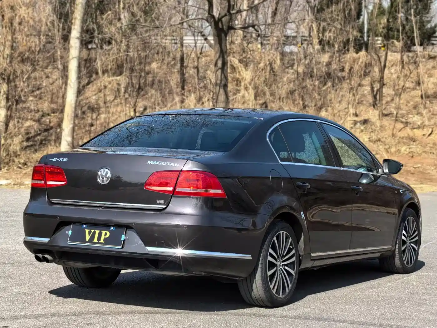 Volkswagen Magotan 2012 3.0FSI Flagship фото 6