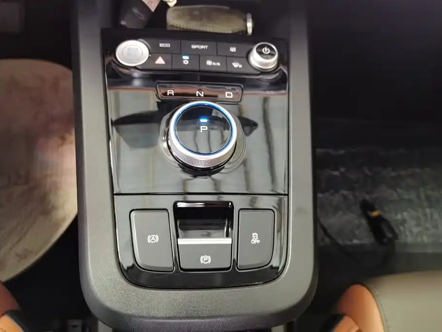 BYD e2 2021 2021 Luxury Edition