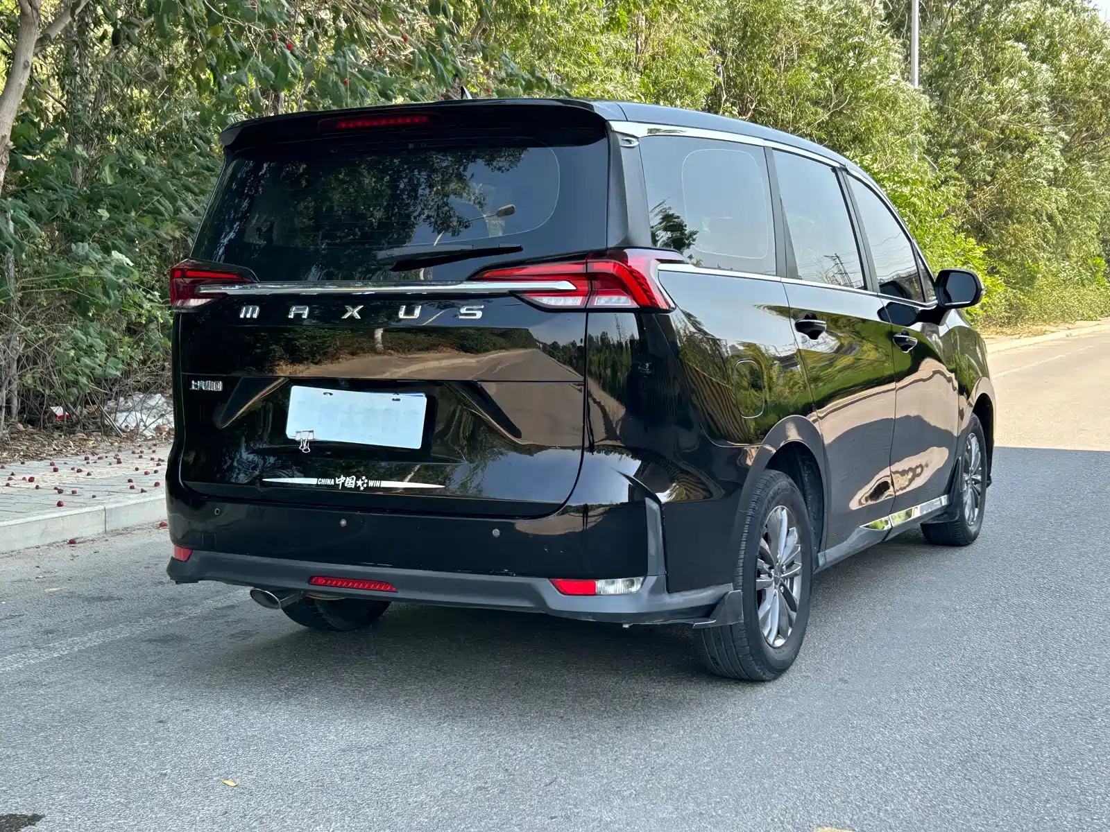 Фото 15 - Maxus Maxus G50