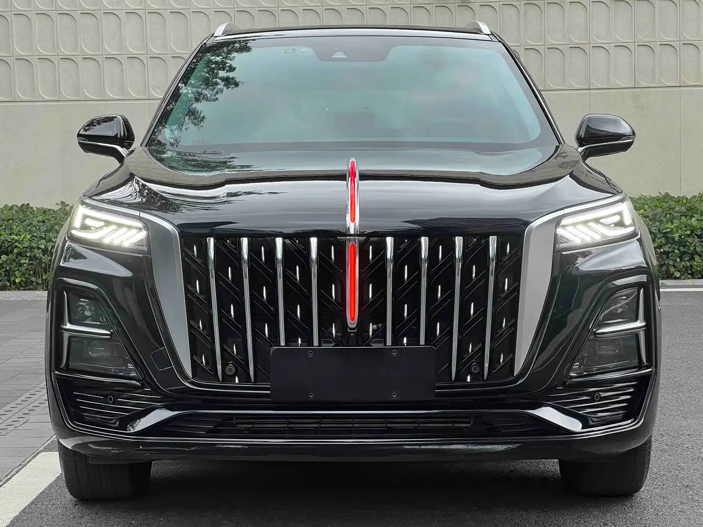 Hongqi HS5 2023 2.0T Flag Enjoy Pro Edition фото 3