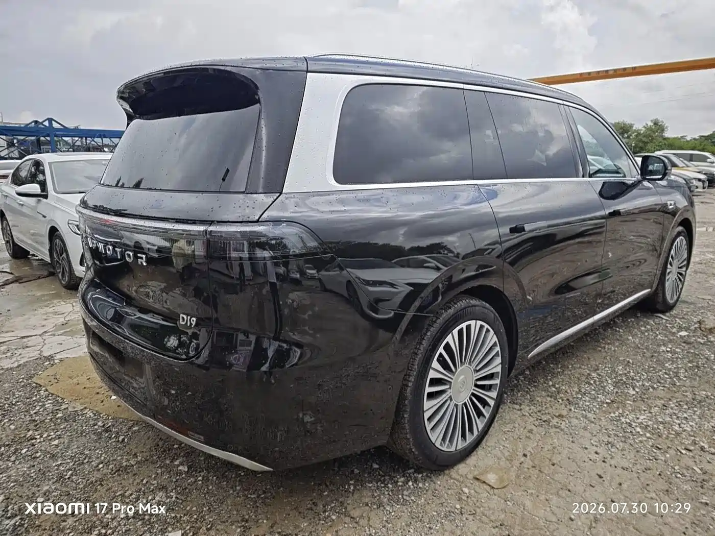 Leapmotor D Series 2026 2026 Model Pure Electric 115kWh 6-Seater