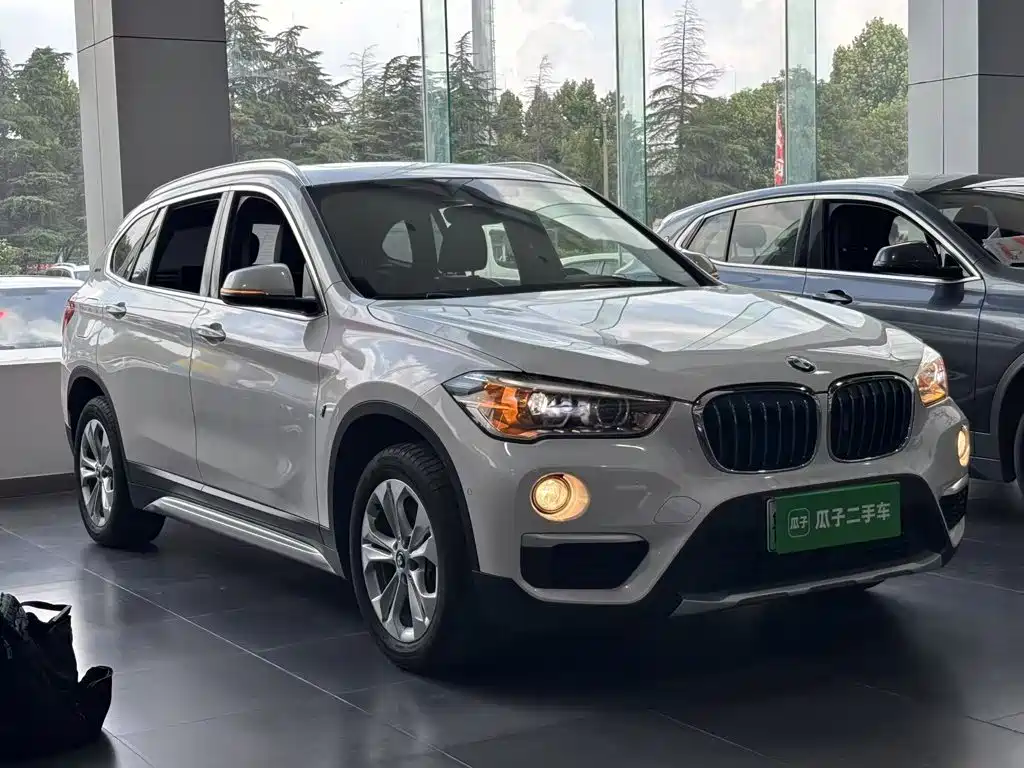 BMW X1 New Energy 2020 2019 xDrive25Le Range Upgrade Edition