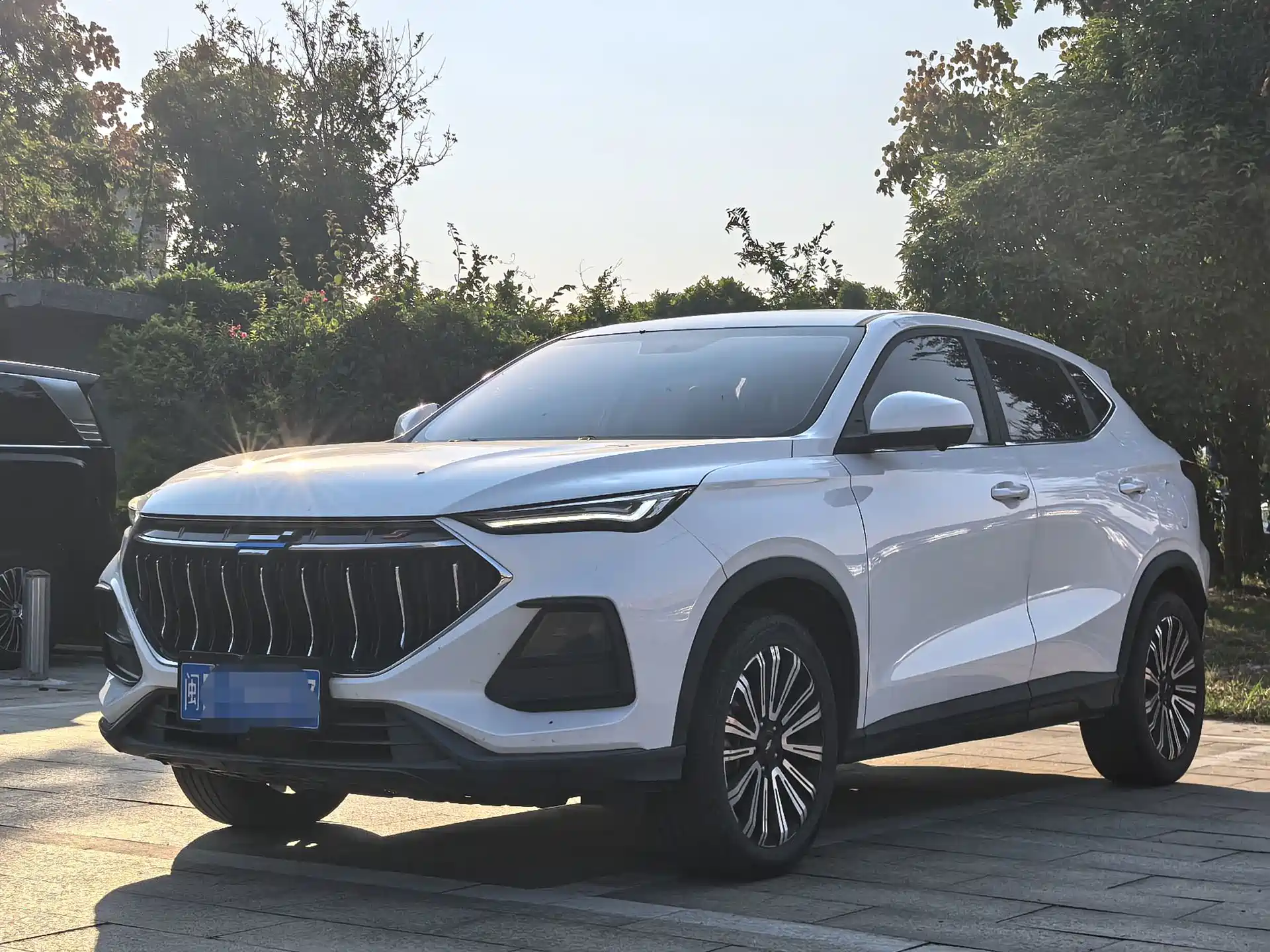 Фото 1 - Changan Oshan Changan Oushang X5