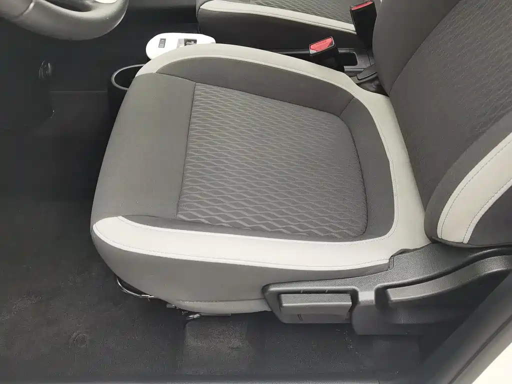 Ora Black Cat 2022 2022 Facelift 301km Pet Edition LFP Version