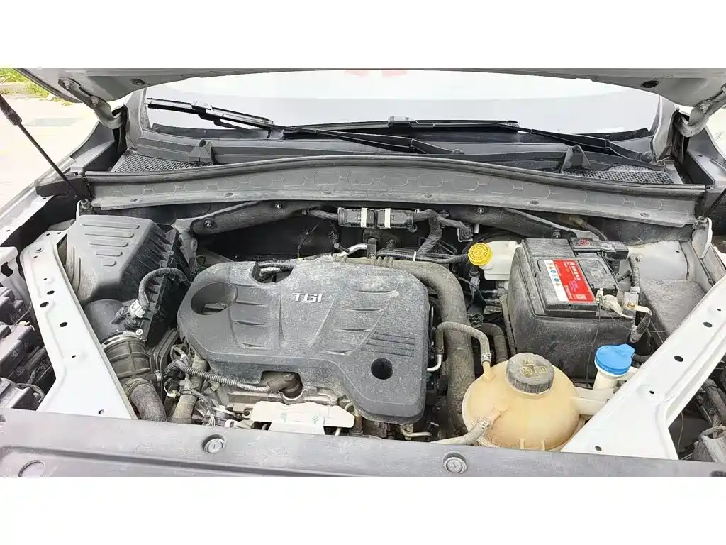 Roewe RX5 MAX 2020 2019 300TGI Automatic 4G Connected Luxury Edition
