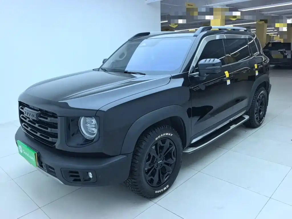 Фото 2 - Haval Dargo