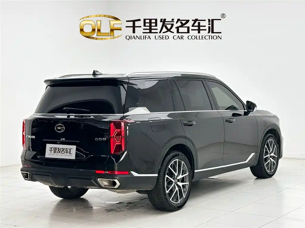 GAC Trumpchi Trumpchi GS8 2025 Pilot Series 2.0TGDI 2WD Luxury Edition 5-seater фото 6